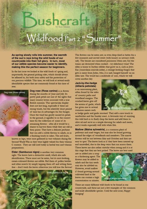 wild food article