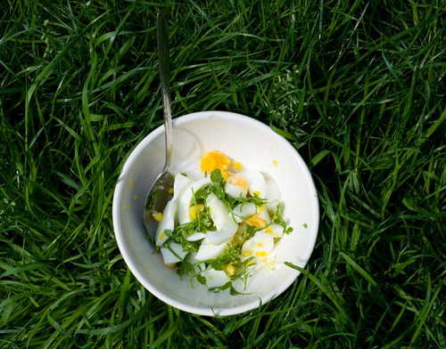 egg and bittercress in a bowl