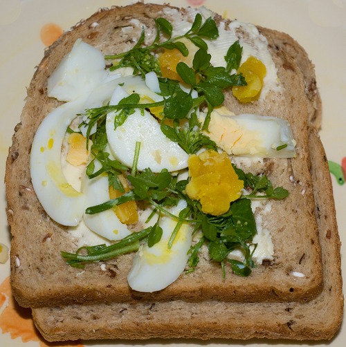 egg and bittercress sandwich